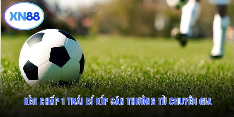Kèo Chấp 1 Trái Bí Kíp Săn Thưởng Từ Chuyên Gia Bóng Đá