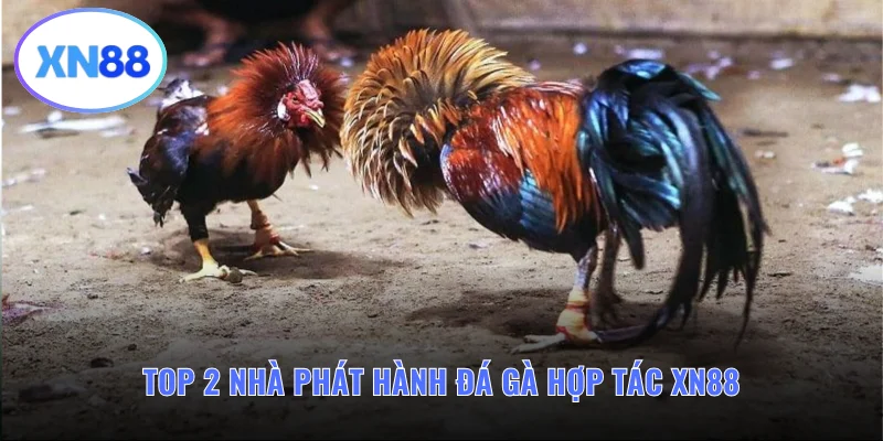 Top 2 nhà phát hành đá gà uy tín hợp tác cùng XN88